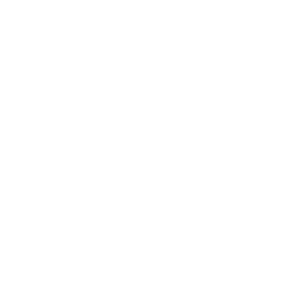 Import Jepang